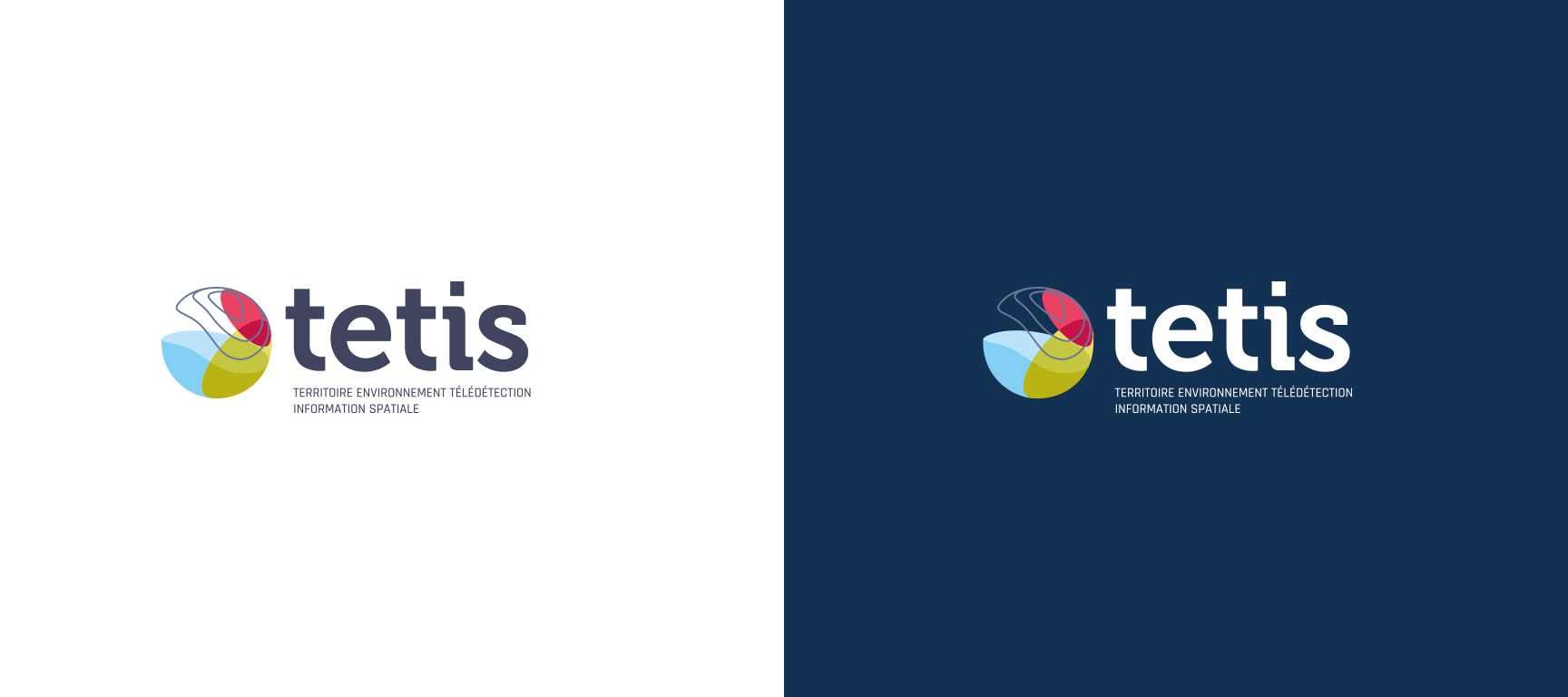 Tetis Graphic Charter and Logo Creation Process
